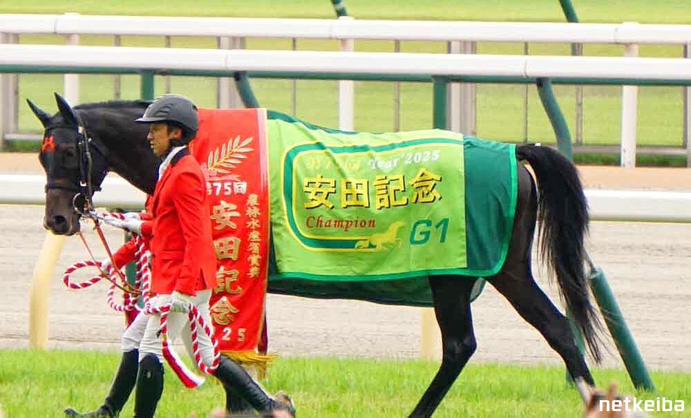 JRAポスター 　ジャンタルマンタル JRAポスター ジャンタルマンタル ジャンタルマンタルは安田記念