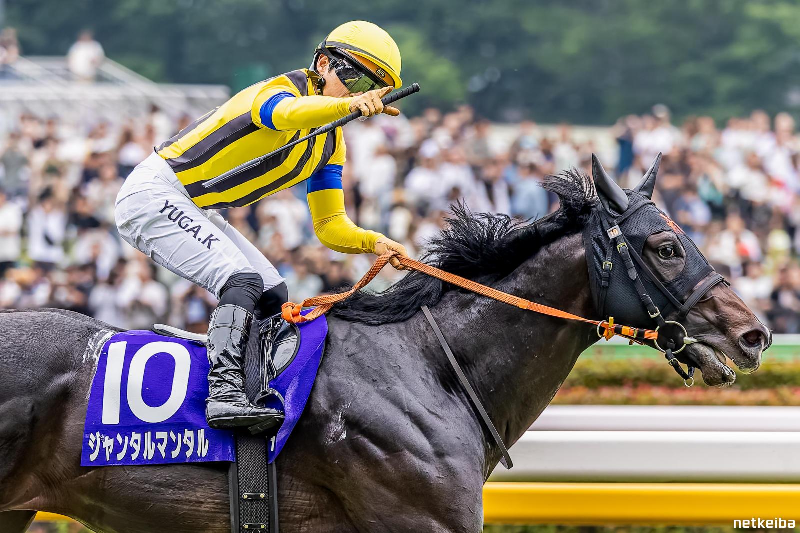 JRAポスター ジャンタルマンタル ジャンタルマンタル（Jantar Mantar） | 競馬データベース | JRA