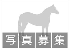 画像がありません