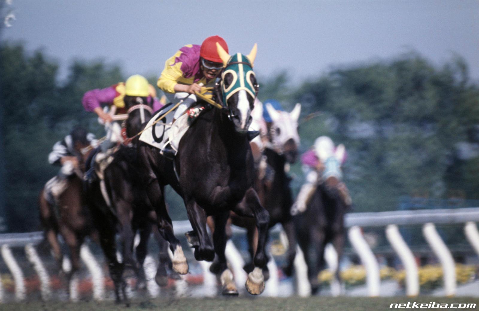 牝馬二冠馬まとめ】牝馬三冠まであと一冠…惜しくも二冠に終わった牝馬 