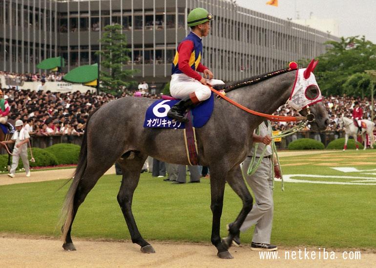 芦毛まとめ】忘れられない芦毛の名馬たち | 競馬まとめ - netkeiba.com