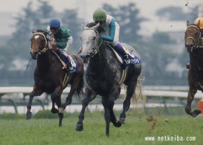 芦毛まとめ 忘れられない芦毛の名馬たち 競馬まとめ Netkeiba Com