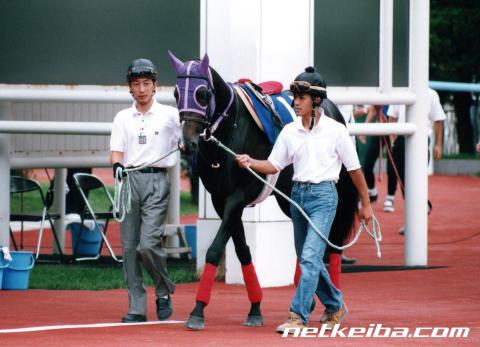 ナリタブライアン 競走馬データ netkeiba com