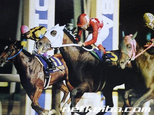 第20回帝王賞 1997年6月24日 大井9R