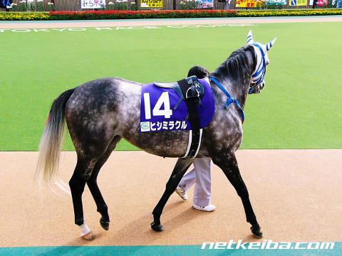 ヒシミラクル | 競走馬データ - netkeiba.com