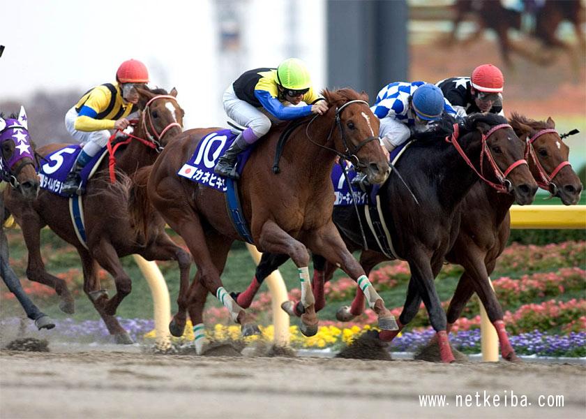 チャンピオンズカップ G1 トップクラスが集うチャンピオンズcを2勝した名馬 競馬まとめ Netkeiba Com