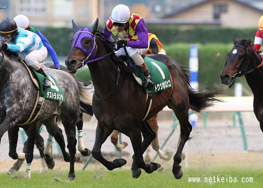 トウショウシロッコ