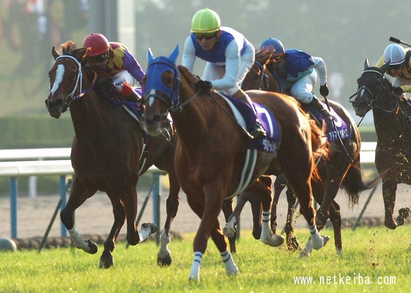 競馬ファンが選ぶ 歴代最強のエリザベス女王杯馬 は ランキング結果発表 競馬まとめ Netkeiba Com