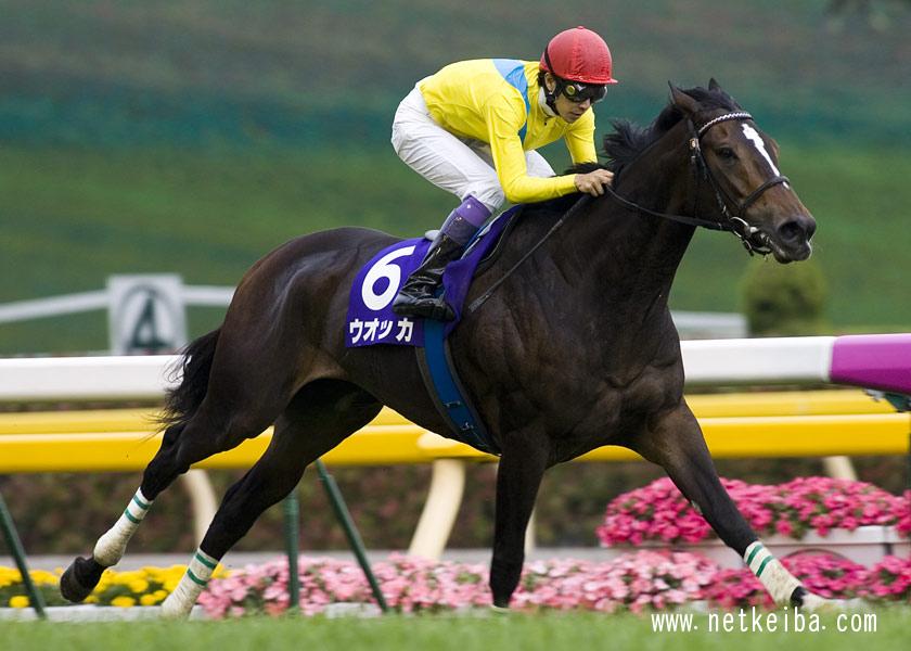 競馬ファンが選ぶ「平成最強マイラー」ランキング | 競馬 ...