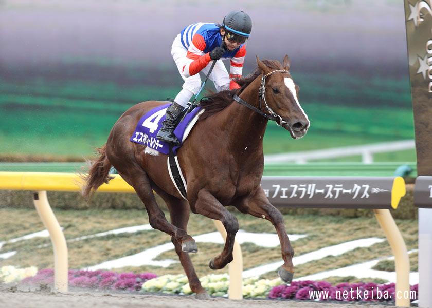 エスポワールシチー