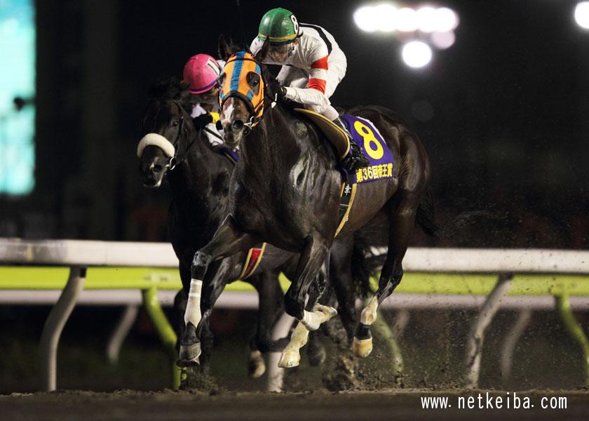 第36回帝王賞 2013年6月26日 大井11R