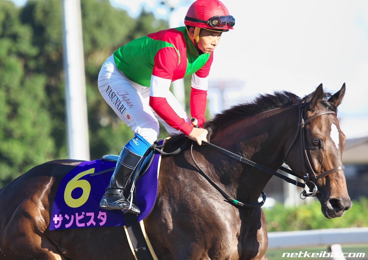 競馬ファンが選ぶ「歴代最強のJBCレディスクラシック馬」1位 サンビスタ
