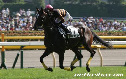 netkeiba.com菊花賞一夜明け、キタサンブラック清水久詞師「最高の騎乗でした」