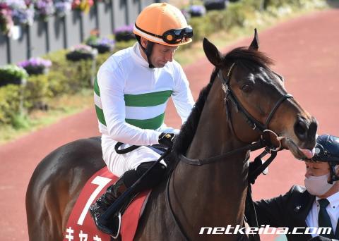 競馬データベース netkeiba com