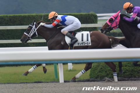 【JRA】土曜新潟で落馬の西谷誠騎手は左肩甲骨々折の疑い、騎乗馬テンザワールドは予後不良