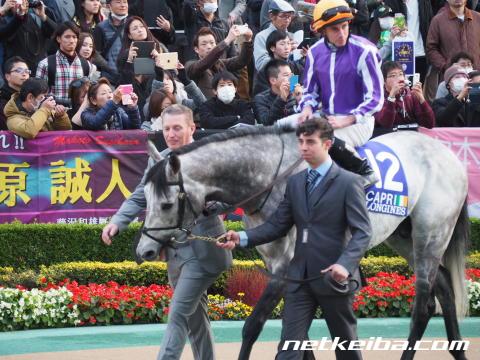 カプリ 競走馬データ netkeiba com