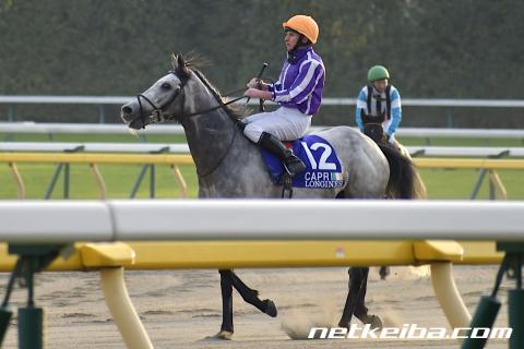 カプリ 競走馬データ netkeiba com