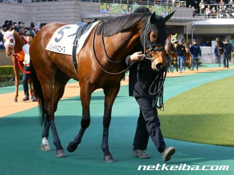 カレイドスコープ (Kaleidoscope) | 競走馬データ - netkeiba.com