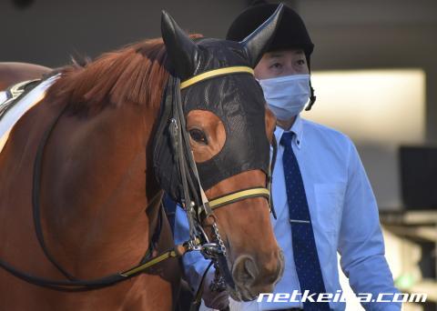 テンワールドレイナ 競走馬データ netkeiba com