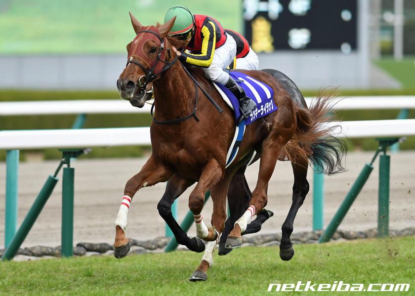 競馬ファンが選ぶ「歴代最強の阪神ＪＦ馬」は？ランキング結果発表