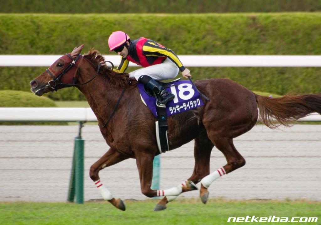 エリザベス女王杯(G1)】連覇を達成した馬、連覇を逃した馬たち | 競馬 