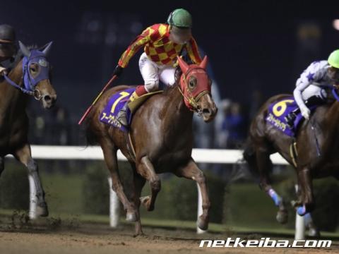 【川崎・ 関東オークス】3冠達成なるかトーセンガーネット、ここ6年は中央馬に軍配/地方競馬見どころ