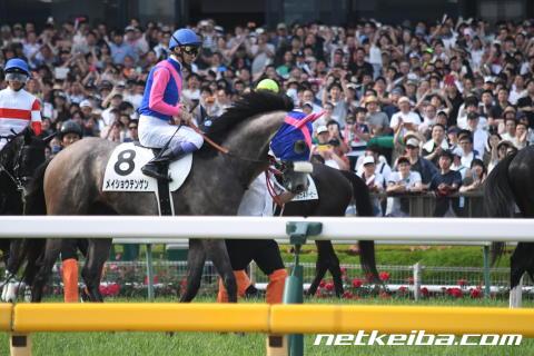 【天皇賞】メイショウテンゲン 体重増えてふっくら 幸「長くいい脚を使ってくれそう」