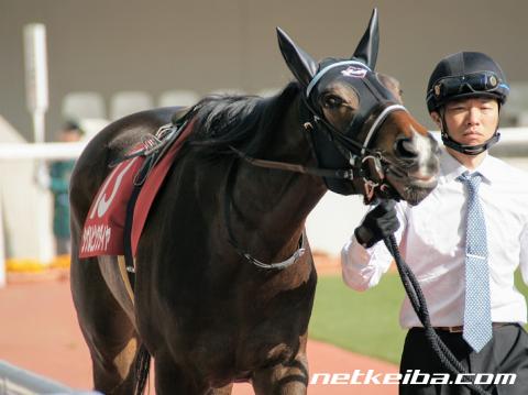 【阪神牝馬S】シゲルピンクダイヤ「良績のあるマイル」で/馬三郎のつぶやき