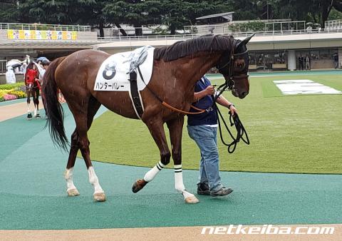 ハンターバレー 競走馬データ netkeiba com