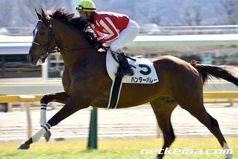 ハンターバレー 競走馬データ netkeiba com