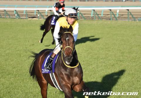【弥生賞】1番人気ニシノデイジー4着敗退 勝浦「手応え悪くなかったが…」