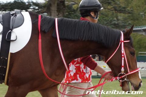【JRA】祝・エクリプス賞受賞! ラヴズオンリーユー陣営「ゲームのような異次元の世界」/ねぇさんのトレセン密着