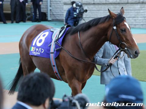 ジャパン 競走馬データ Netkeiba Com