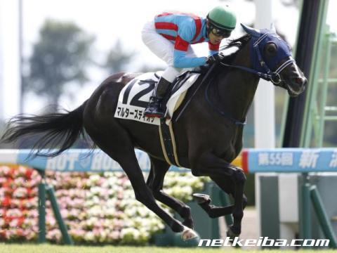 【ターコイズS】春とは全然違う! マルターズディオサ ビシビシ伝わる心身の充実/トレセン発秘話