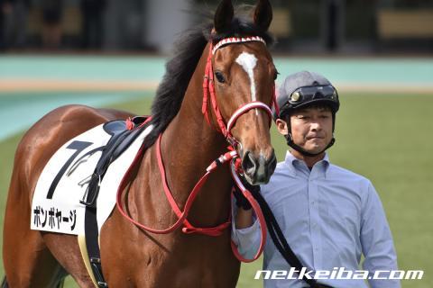 【セントウルS予想】3年連続で中京芝1200での施行 急坂でロベルトとダンジグのパワー優勢