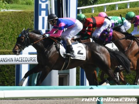 メイショウユリシス 競走馬データ Netkeiba Com メイショウユリシス 競走馬データ Netkeiba Com