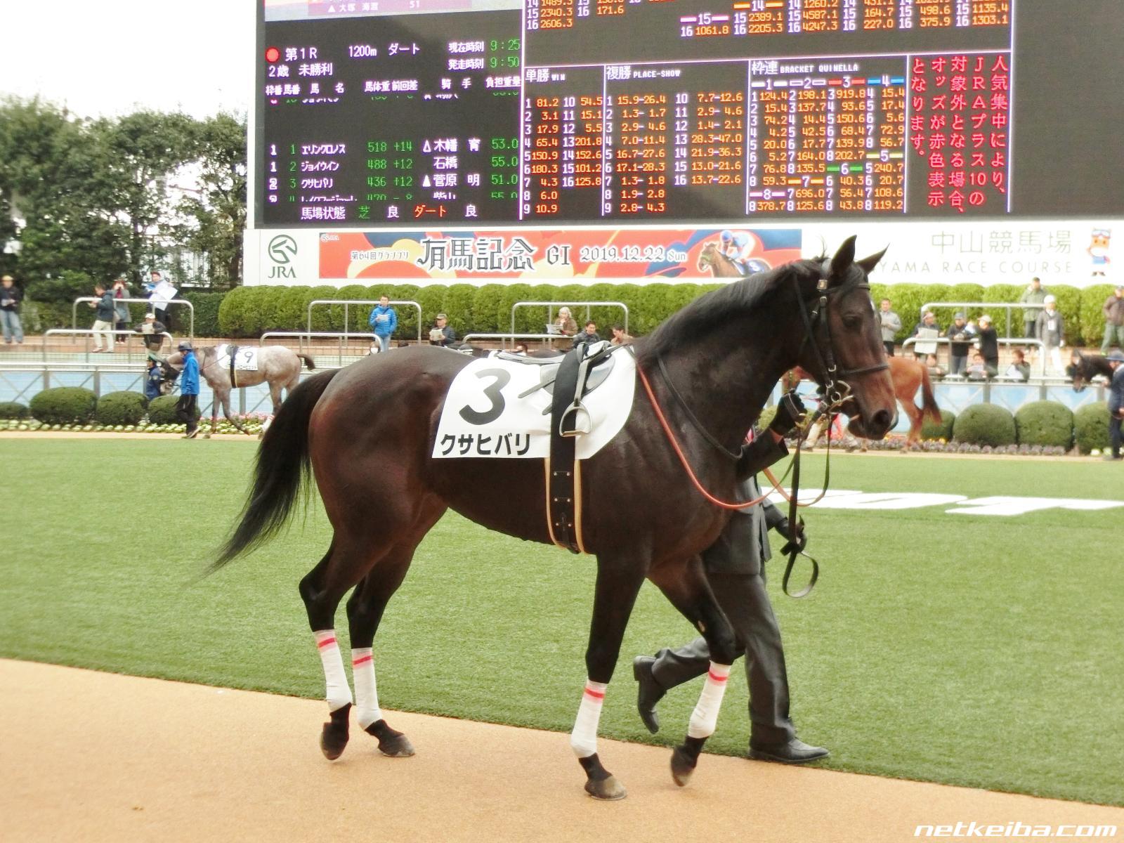 年8月日サラブレッドオークション一覧 最新競馬まとめ Netkeiba Com