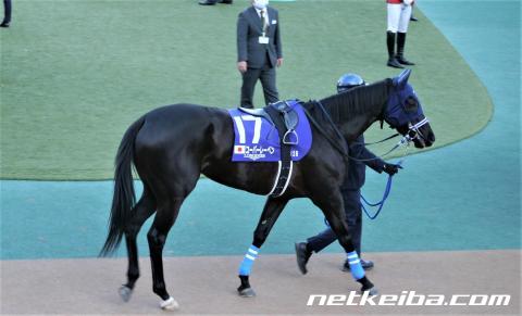 【AJCC予想】ステイゴールド系が絡む中山芝2200重賞 冬の中山らしくロベルトも健闘