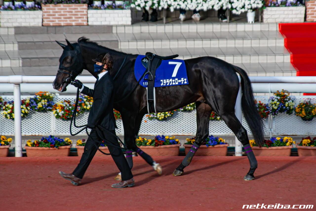 ステラヴェローチェ