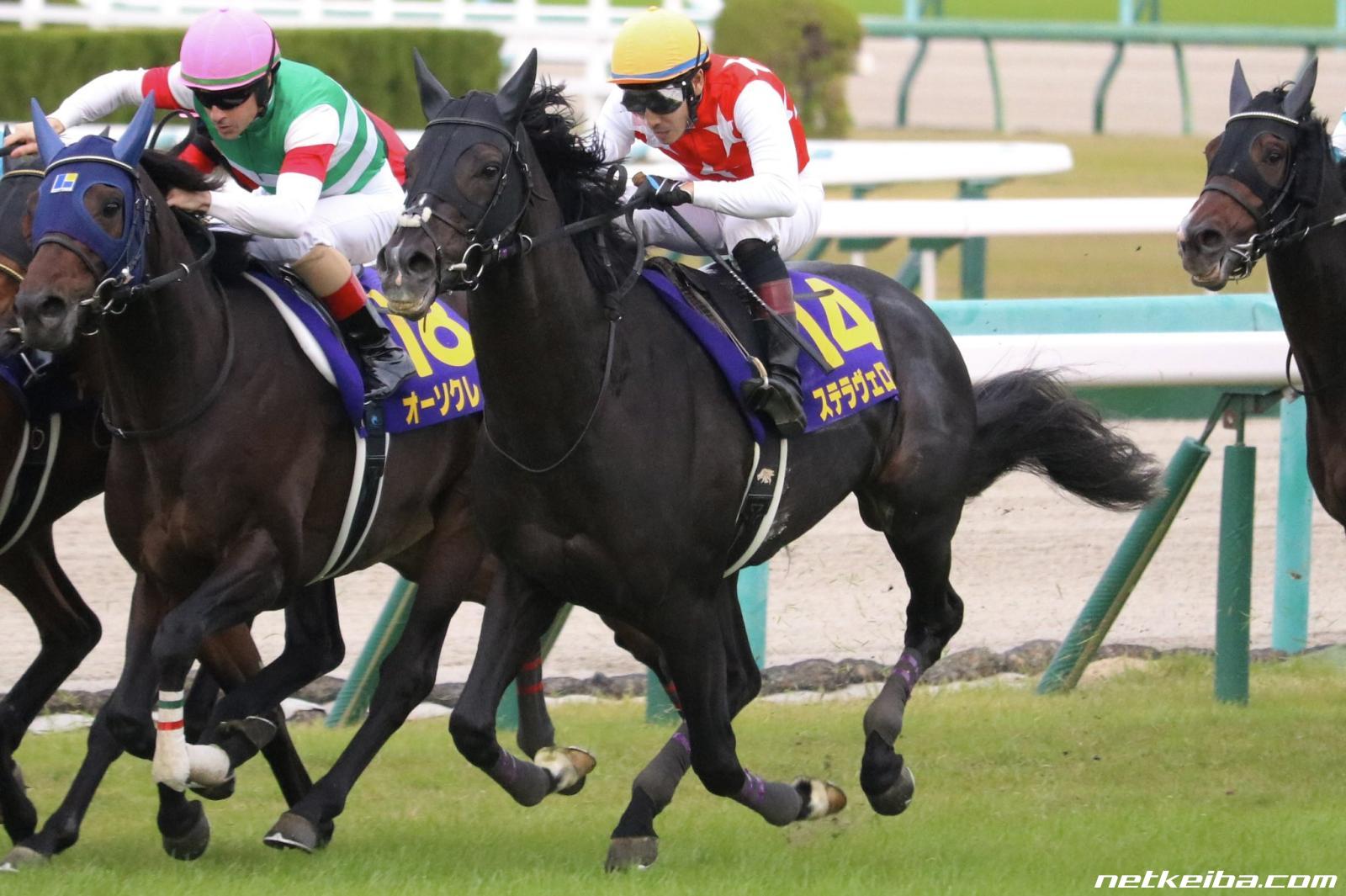 ステラヴェローチェ