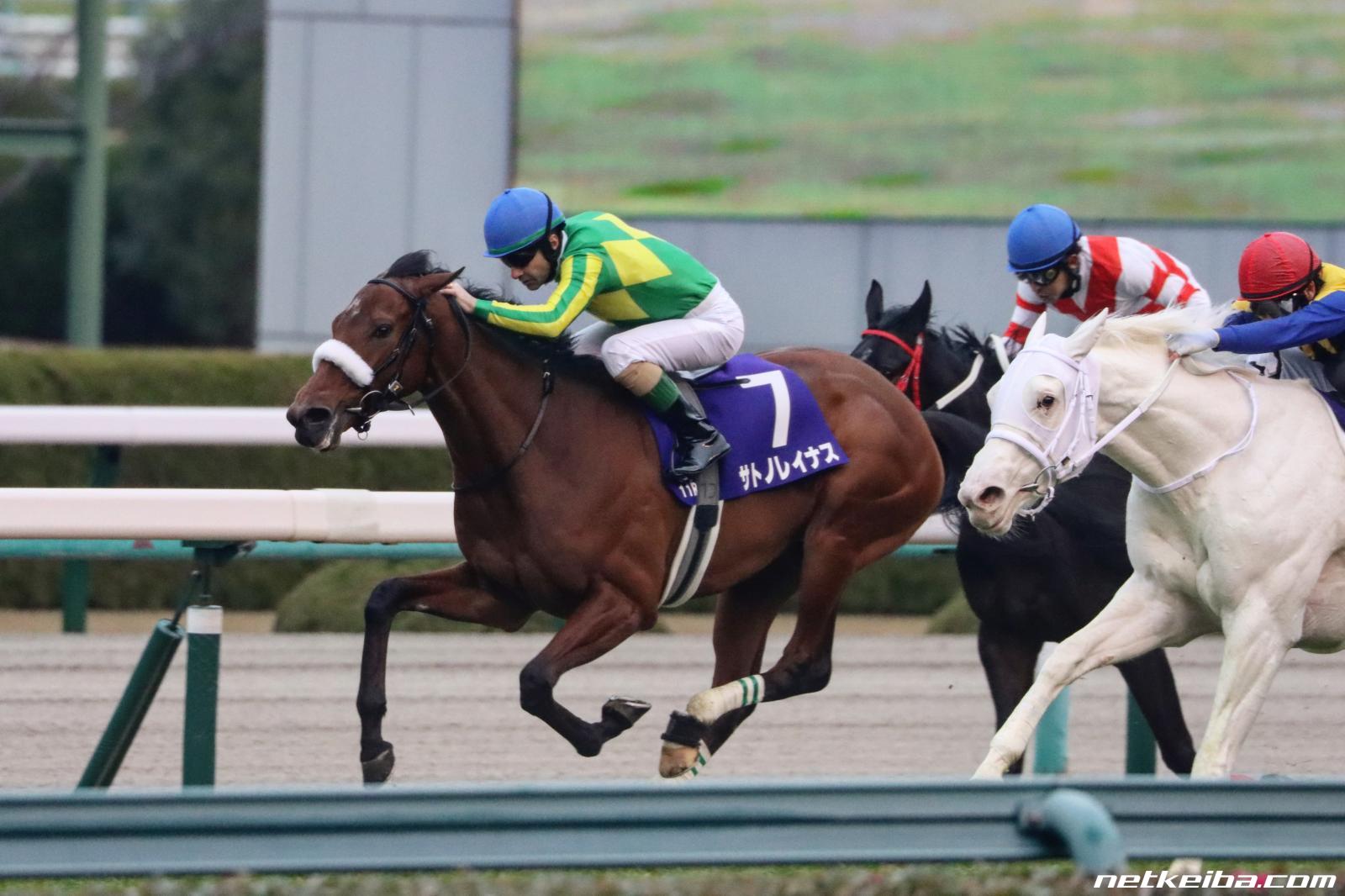 サトノレイナス
