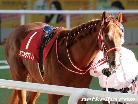 ホウオウアマゾン 競走馬データ netkeiba com
