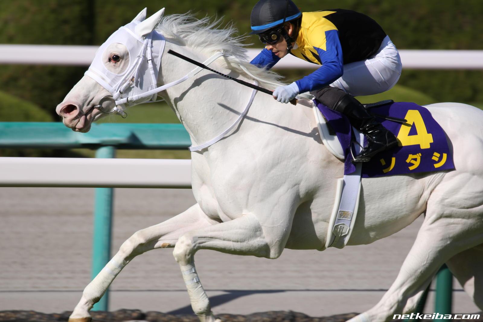 競馬 21年優駿牝馬 オークス を予想する もりしメモ