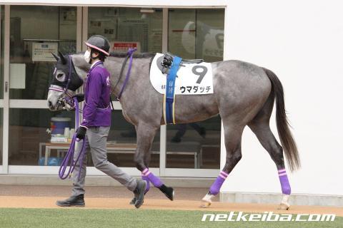 ウマダッチ | 競走馬データ - netkeiba.com
