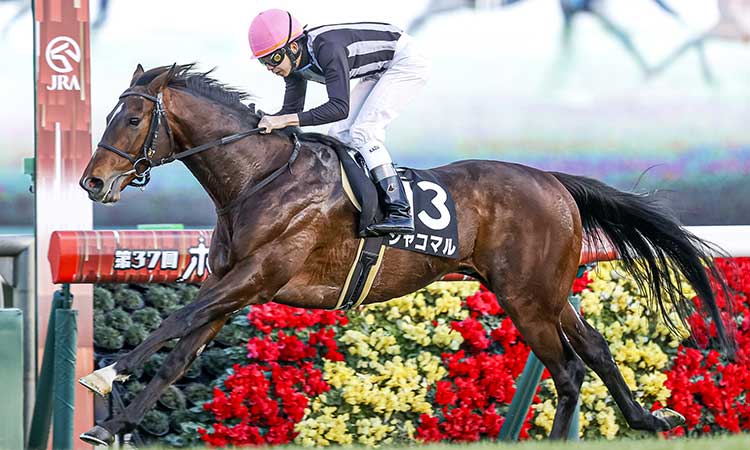 ダイヤモンドs21予想 今年も荒れる 浮上した大穴候補とは 競馬予想 競馬まとめ Netkeiba Com