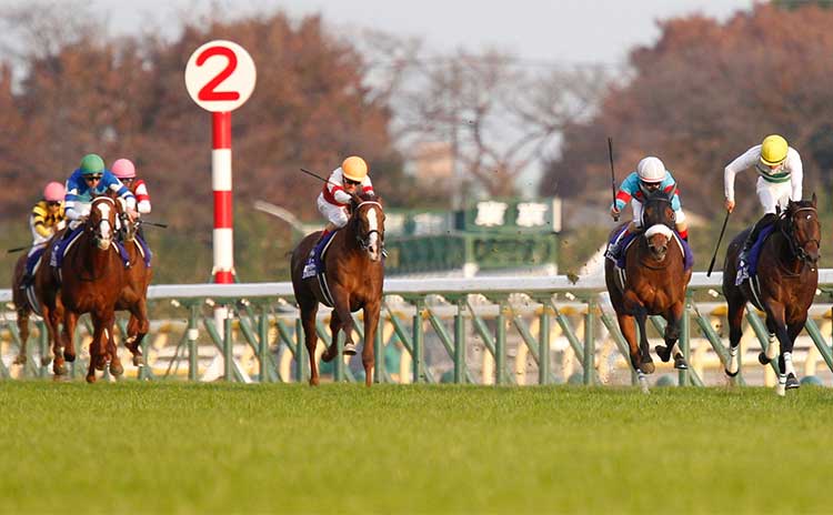 ジャパンc歴代指数ランキング 衝撃のタイムで駆け抜けたあの馬が1位 競馬まとめ Netkeiba Com