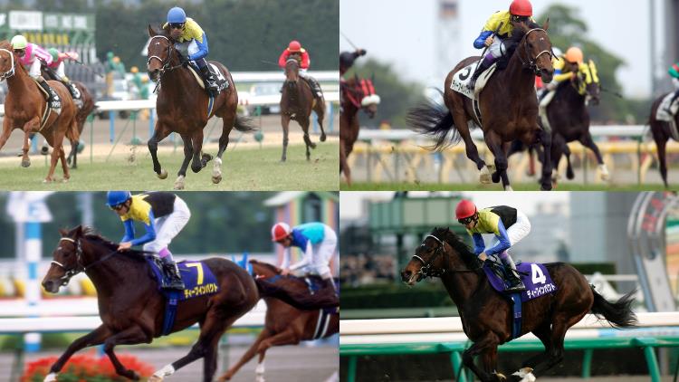 ディープインパクト追悼 全14レースの戦いを振り返る 競馬まとめ Netkeiba Com