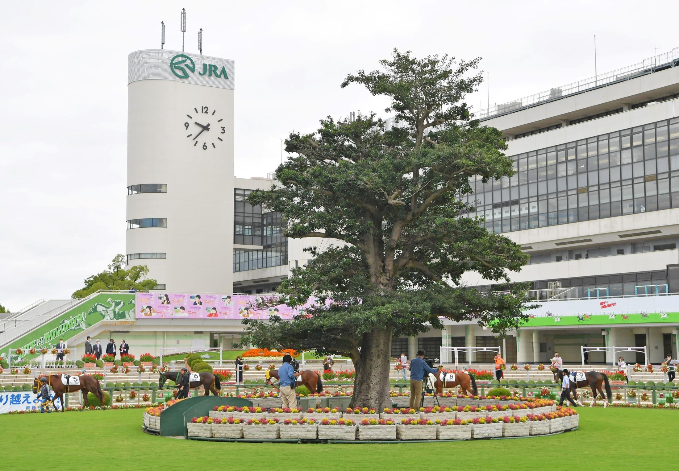 【京都競馬場】次回開催日は2023年4月22日！ 再開する京都競馬場特集
