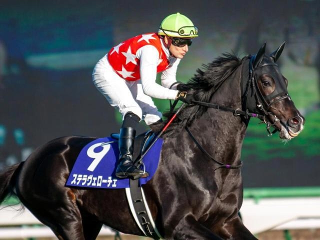 【日経新春杯2022最新情報】冬の名物ハンデ重賞を制するのはどの馬か？