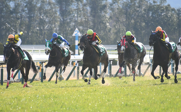 1着は馬番10番デアレガーロ、2着は馬番15番リナーテで決まった2019年の京都牝馬S(C)netkeiba.com